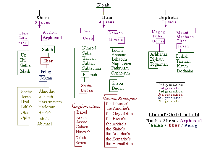 Noah`s genealogy