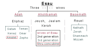 The Genealoy Of Esau Chart